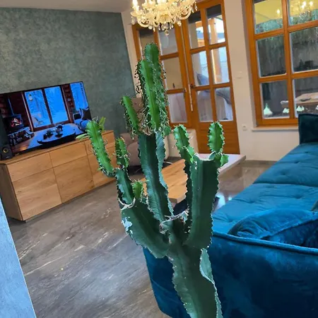 Sisi Banovci Apartmán Veržej